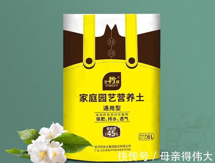 c养了39年的君子兰,叶子长了100多片,又浓又绿,太羡慕了