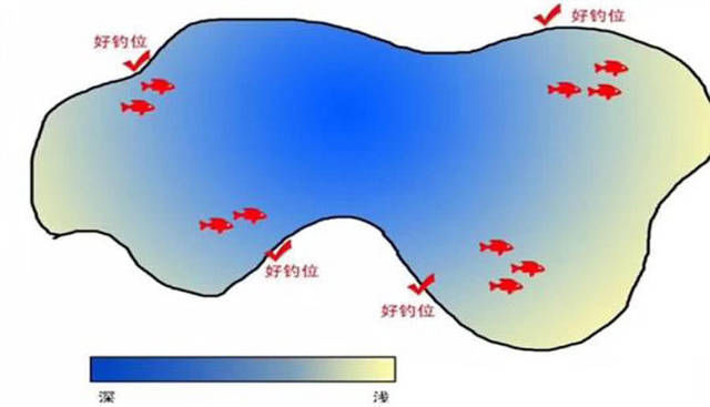 为什么老钓手常说“屁股决定渔获”附图说明