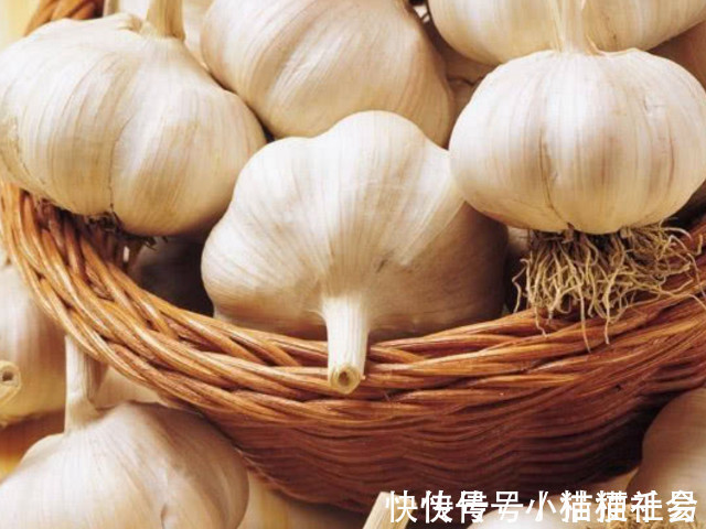 癌细胞|得了“癌”千万别慌,这4种食物换着吃,疾病“不告而别”!