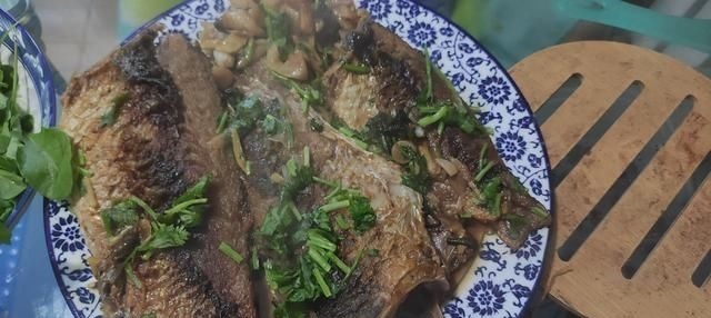 大鲫鱼的“哭泣”躲在河中心都没用，最终沦为钓鱼人的盘中餐？