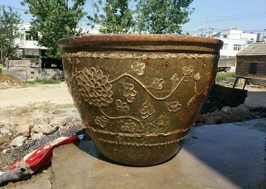 容器|家里有大水缸不要丢,拿来养花做容器,废物利用好处多