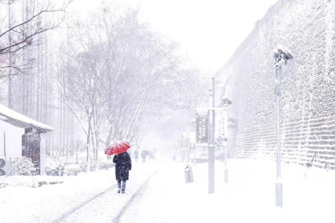 为你而来$苏轼：总有一场雪，为你而来