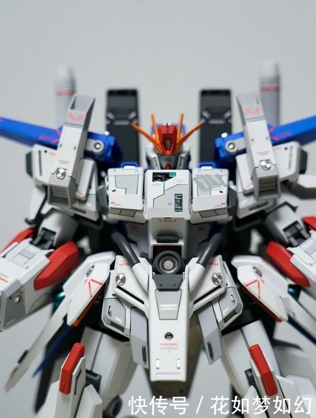 开花|二度开花·已知最棒的FAZZ