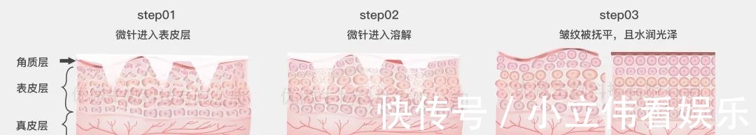 衰老 【技术贴】纯粹的成分,纯粹的护肤理念