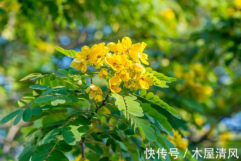 大便|八成老人受便秘困扰 先改变生活习惯