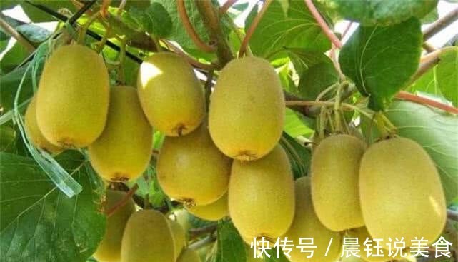 芒果芒果|人到中年,常吃4种食物,能降气排毒,美容养颜,气色也好!