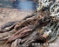 翻白草|农村山上一种植物,是“糖尿病”的克星,剥开能直接生吃