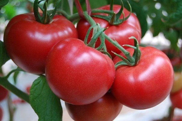 高血压患者|高血压患者养生有诀窍，4种零食随便吃，不仅解馋，还能稳血压