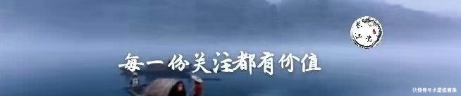  野生大鳜鱼|长江该禁止钓鱼男子长江“疯钓”野生鳜鱼，引网友骂战