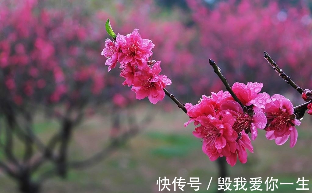 工夫处&唐伯虎“天命”之年，写了一首最狂的诗，桀骜不驯，技压李白