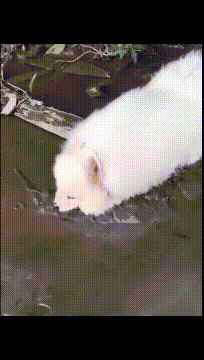 |搞笑gif段子:姑娘这是快要炼成神功了吗