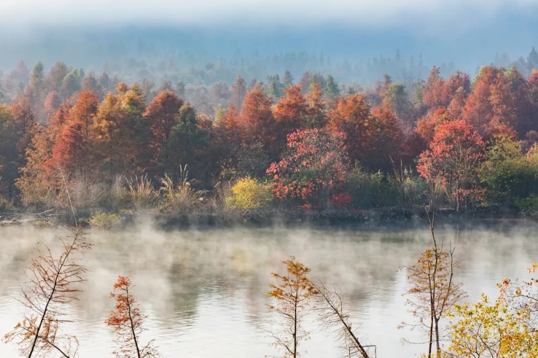 鹧鸪天|12句动人心魄的诗词,千古绝唱的美!