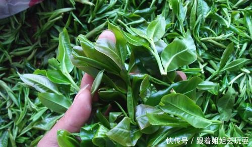 惹万千少女流连的阳绿翡翠究竟是什么样,它到底贵在哪里,怎么看