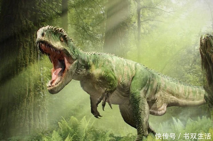 仙境 5亿年前的地球长啥样?人类和恐龙还未诞生,科学家:“仙境”!