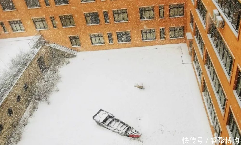 漫天寒凝洗尘襟，大外与你共风雪