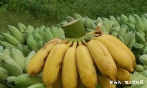 黃青蕉|人到中年，堅持常吃4種食物，降壓減脂，養護血管，抗衰老