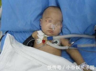 过敏|一岁宝宝中毒身亡,“夺命粥”事故频出,你还敢给孩子喝吗