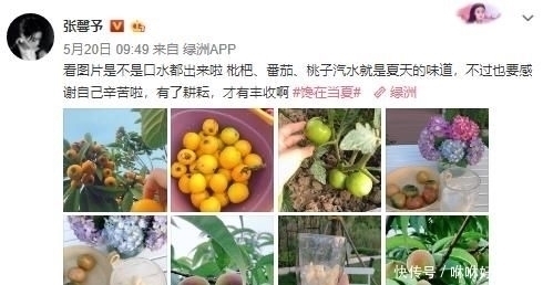 表白的花语的花