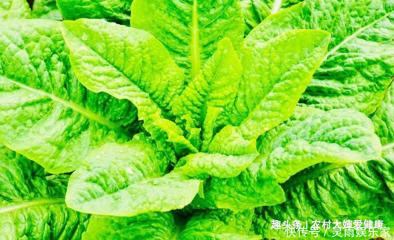 痛经|女性常月经不调，多食用此菜，痛经好了，防乳腺癌，让子宫变干净