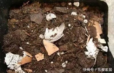 到底|这么多的养花技巧,到底哪个能用