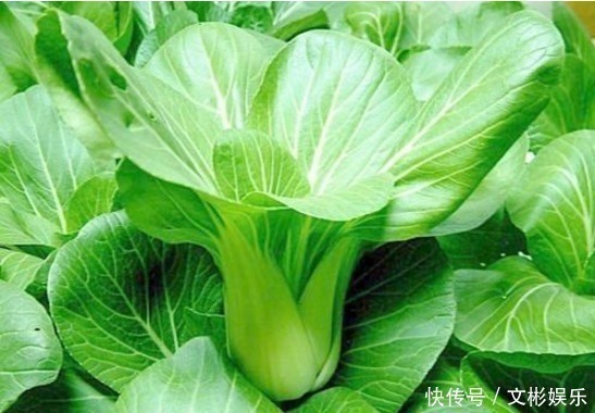 还在吃青菜吗此类青菜别吃了，更不要买，快告诉身边人
