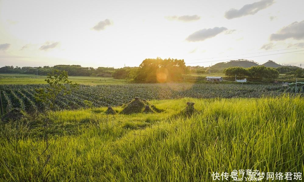 白海豚|三娘湾人气不如银滩金滩，这里风光异常独特，因为原生态免费开放