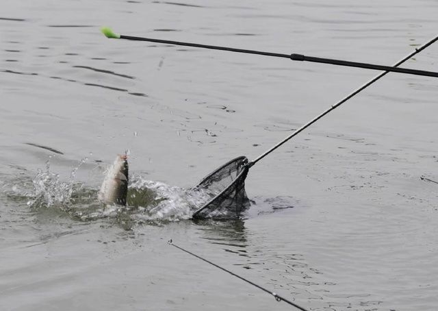 百里寻鱼“焉知非福”老钓鱼人30年经验之谈,寻鱼不再难