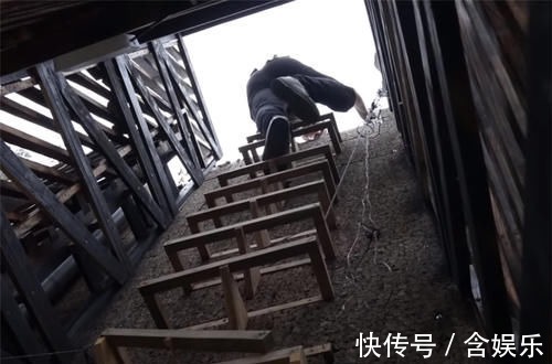 小菜园|他用40棵松树,在荒山野林建起小屋,屋顶种菜生活自给自足