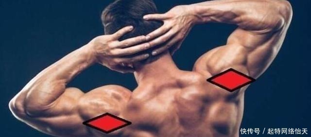 动作|有效刺激三角肌的运动, 决定身体宽度的部位, 先从三角肌入手