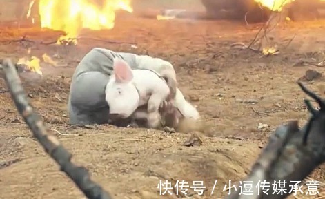 撒子呦|“抗日神剧”真会玩,战场上抓猪赶牛,一招“火牛阵”团灭敌人