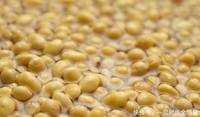 上手|一碗黄豆,半碗醋,教你自制豆腐,简单易上手,学会不用出门买