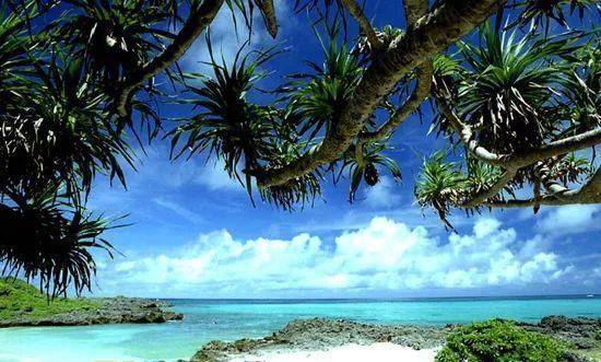 天花&原来这三个意境无比美丽的成语来自佛教,看完心境都美了