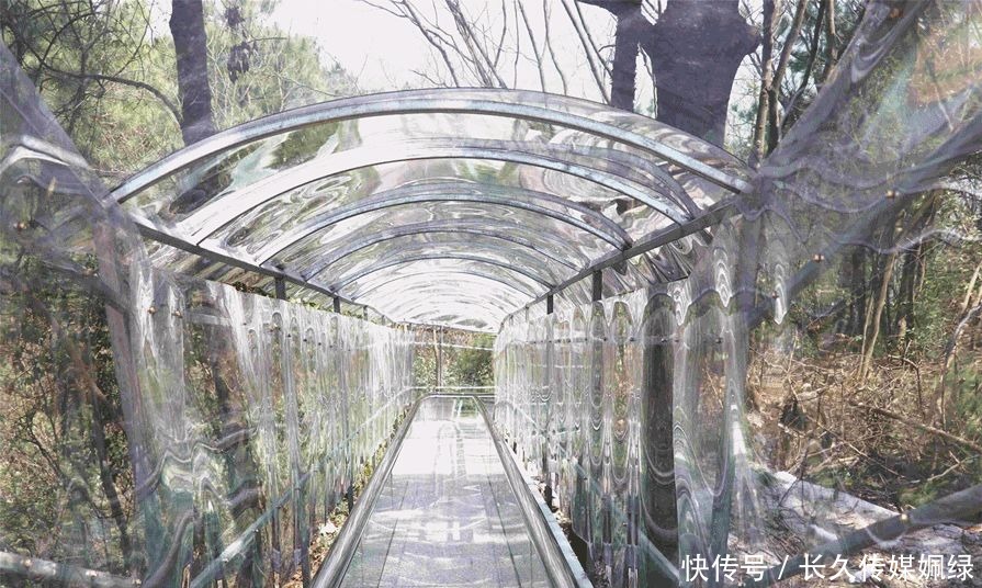 大湖|水波荡漾、承天所赐的大湖——杉木湖景区