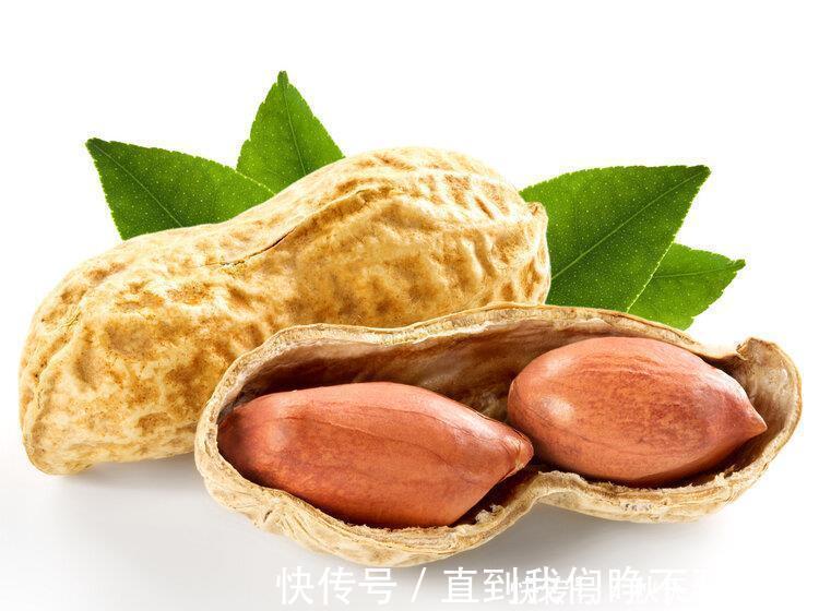 长寿果|花生是心血管祸根还是营养佳品?吃对了是长寿果,吃不对是催命符