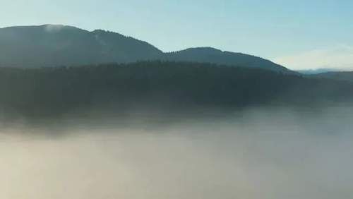 逢绿必火？绿色腕表究竟有什么魔力！