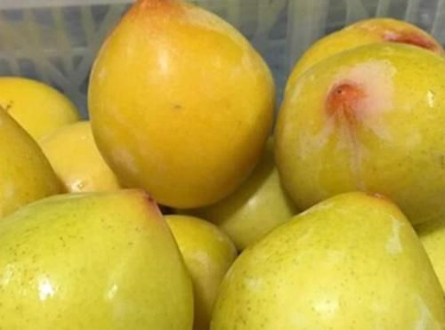 色斑|女性常吃此果,大肚子没了,色斑淡了,子宫越来越干净,效果好