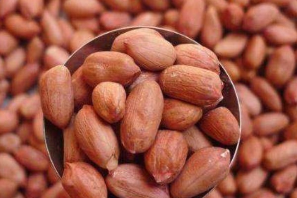 食物|煮粥时,不要加以下4种食物,医生不仅没营养,还危害健康