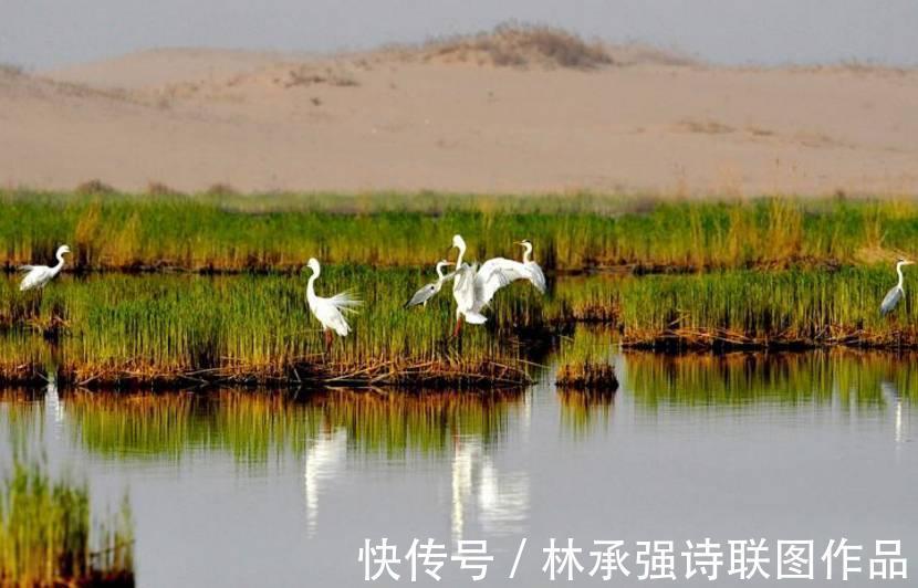 美景|石嘴山10篇美景诗联作品（第一辑）