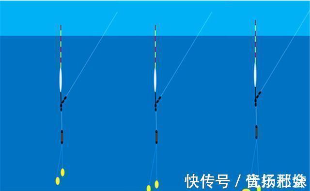 调漂的本质是找底,如何判断是否到底?是钓组什么部位到底?