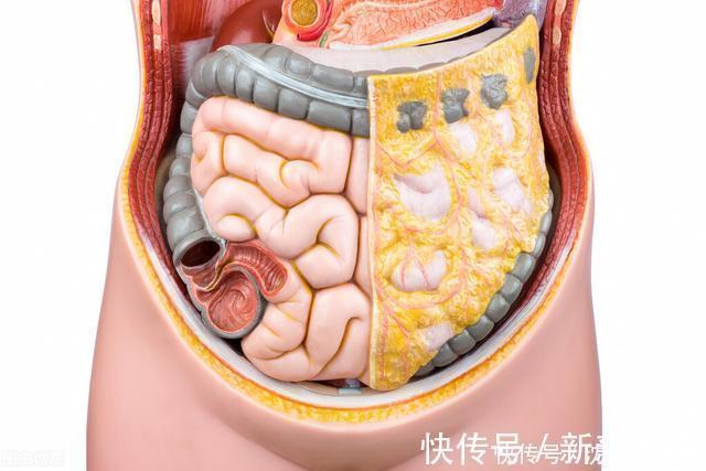 赘肉|腰腹部的赘肉多？3个方法坚持60天，让肚子恢复平坦