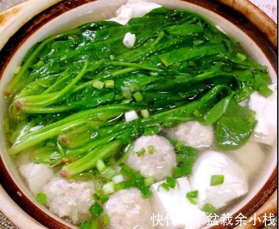 营养|推荐几道营养美味的家常菜，简单美味，做法简单，大家快来试试吧