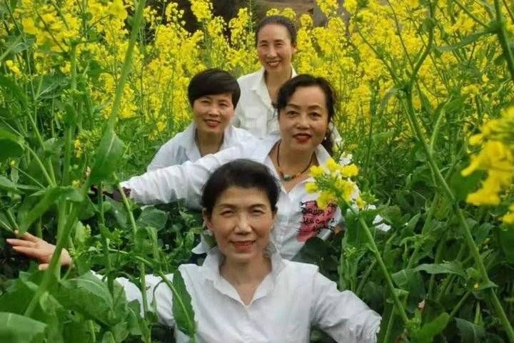 百合|明日立秋！就喝这一碗，补气润肺升免疫，人人必备