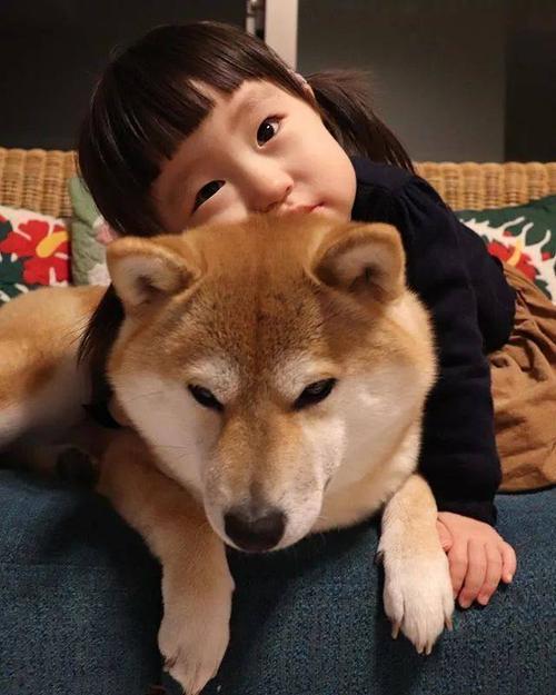 苹果|要想宝宝脾胃强健吃饭香,两种水果煮水喝,个头蹿得也快