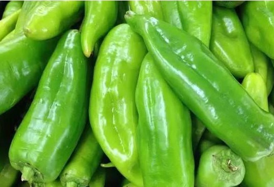 腌辣椒别只知道撒盐,这一步必不可少,辣椒入味不腐烂