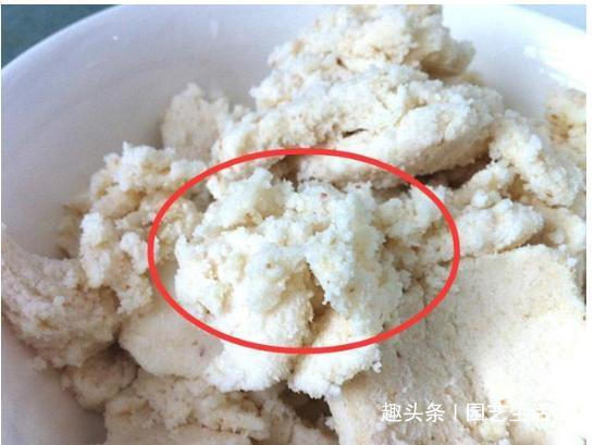 君子兰|君子兰盆里加点它,养10年都不烂根,一个月开花爆盆不是问题!