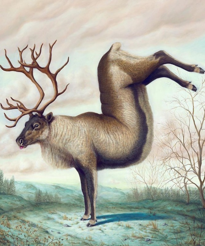 动物们&胆小谨点,插画师笔下的诡异动物看完一秒清醒!