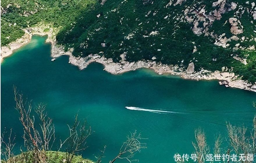 春季钓鱼注意这两点,多种技巧相结合,收获才能更多——盛世三渔