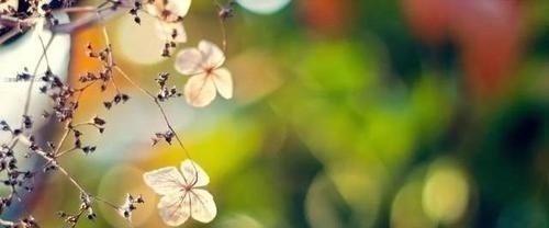 王观&古代最俏皮的一首送别词,唯美感人,情意绵绵,读来别有一番风味