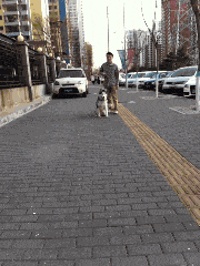 |搞笑GIF:太刺激了 有个这样的女朋友 身体真的受不了