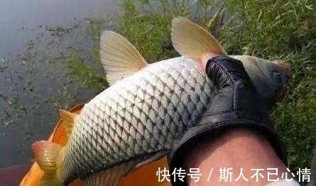 水流|在江河钓鱼必学的3个技巧